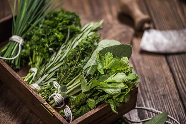 Warum-Ayurveda-7